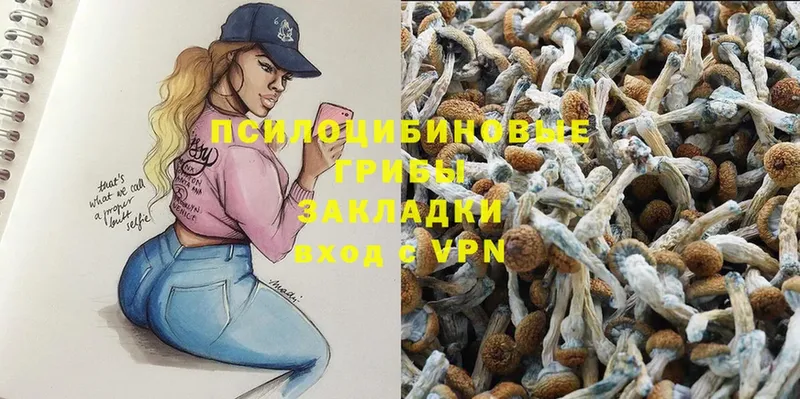 где найти наркотики  Боготол  Галлюциногенные грибы Cubensis 